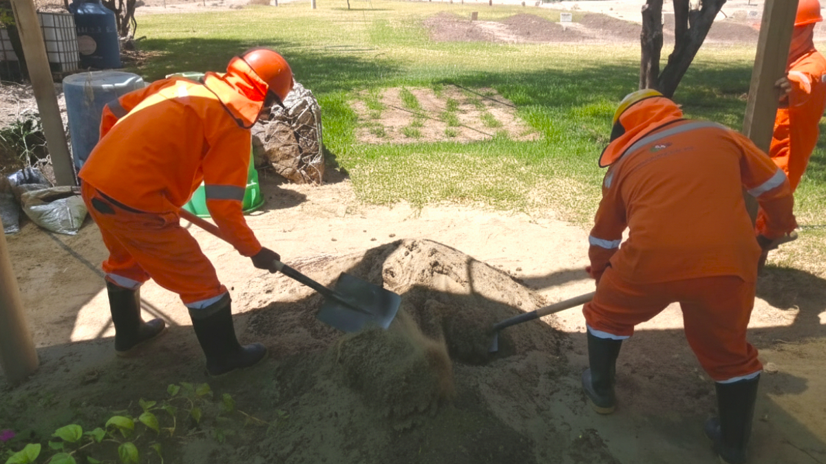 Petroperú y Gobierno Regional de Piura inician programa de reforestación en Talara